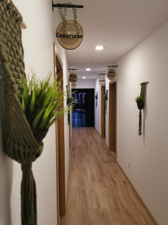 Atlantic Nature Beach House Poco da Cruz Екстер'єр фото
